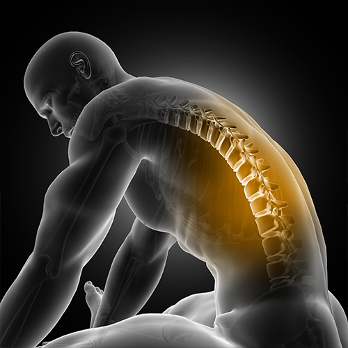 LUMBAR SPİNE