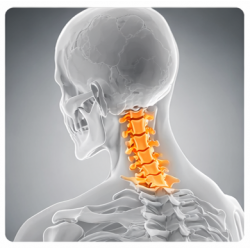 Cervical Spine