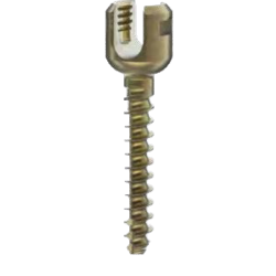 MONOAXIAL SCREW