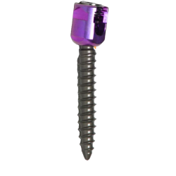 POLYAXIAL SCREW