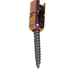 REDUCTION POLYAXIAL SCREW
