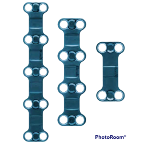 ANTERIOR CERVICAL PLATE & PLATE SCREW 
