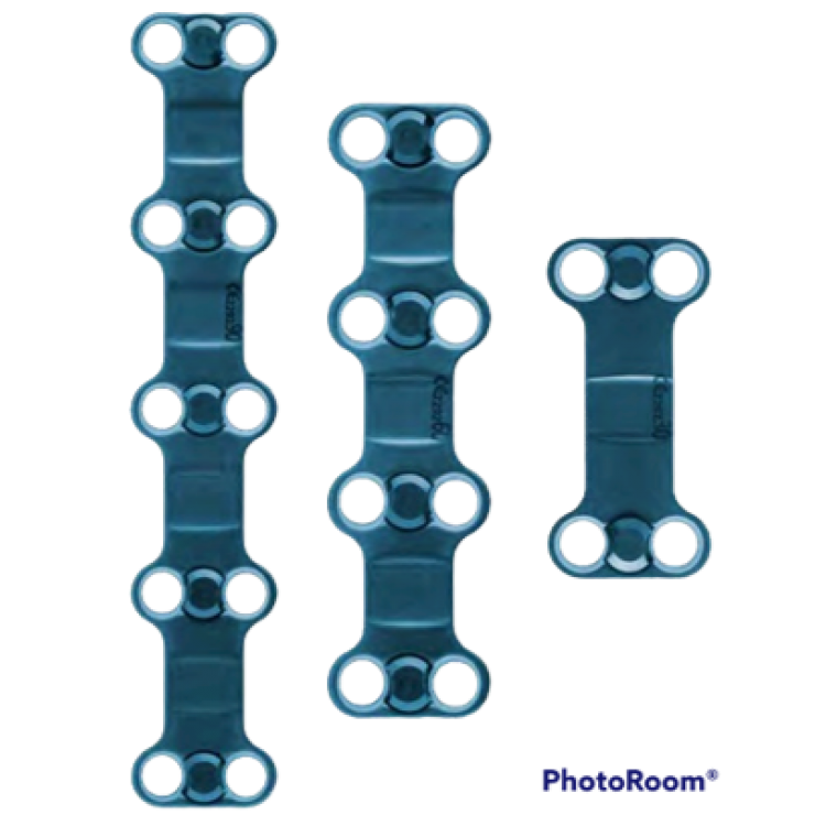 ANTERIOR CERVICAL PLATE & PLATE SCREW