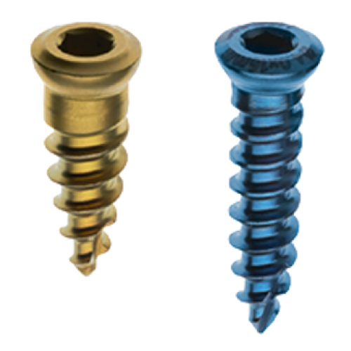 ANTERIOR CERVICAL PLATE & PLATE SCREW 