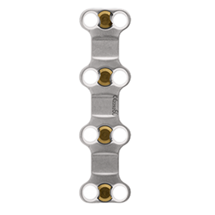 ANTERIOR CERVICAL PLATE & PLATE SCREW