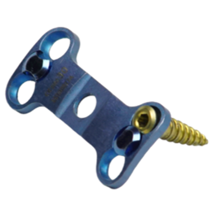 ANTERIOR CERVICAL PLATE & PLATE SCREW