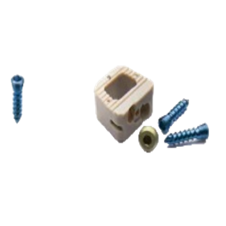 CERVICAL STAND ALONE PEEK CAGE