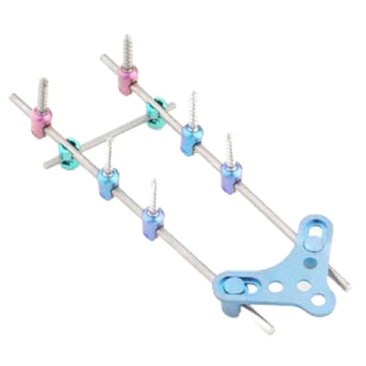 OCCIPITAL - CERVICAL THORARIC SYSTEM