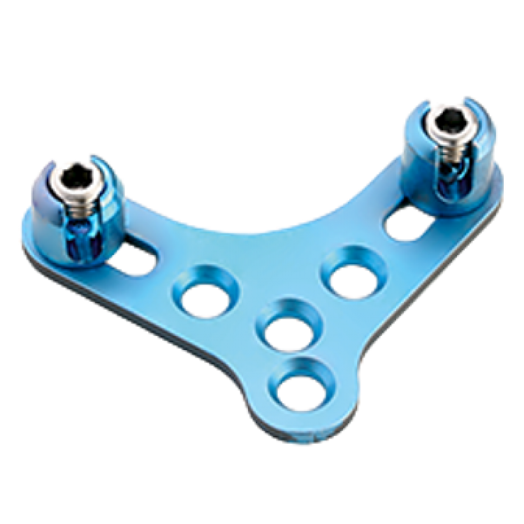 OCCIPITAL - CERVICAL THORARIC SYSTEM