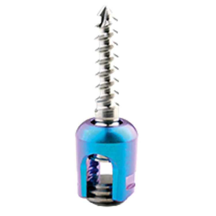 OCCIPITAL - CERVICAL THORARIC SYSTEM