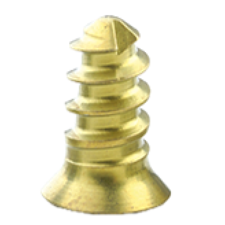 OCCIPITAL - CERVICAL THORARIC SYSTEM