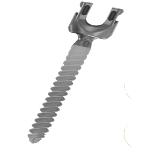 HA COATED POLYAXIAL SCREW