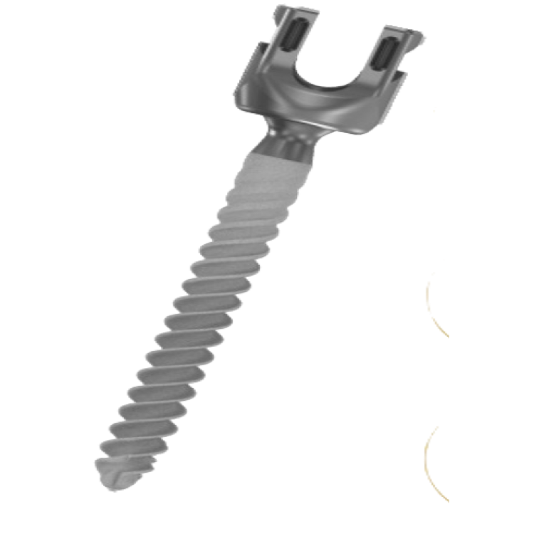 HA COATED POLYAXIAL SCREW
