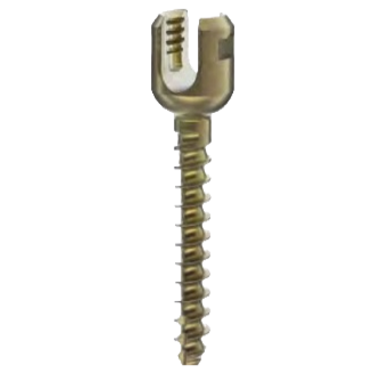 MONOAXIAL SCREW