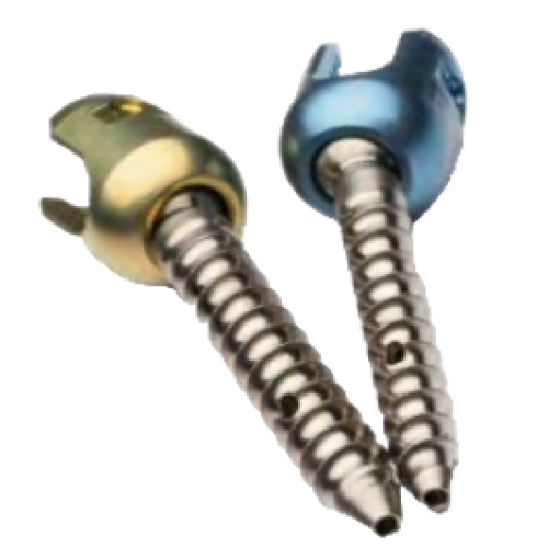 POLYAXIAL CEMENTED SCREW