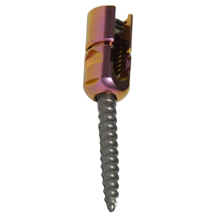 REDUCTION POLYAXIAL SCREW