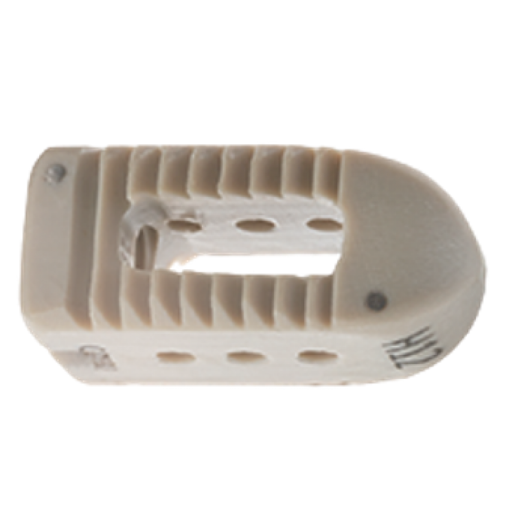 PLIF CAGE (PEEK&TITANIUM)