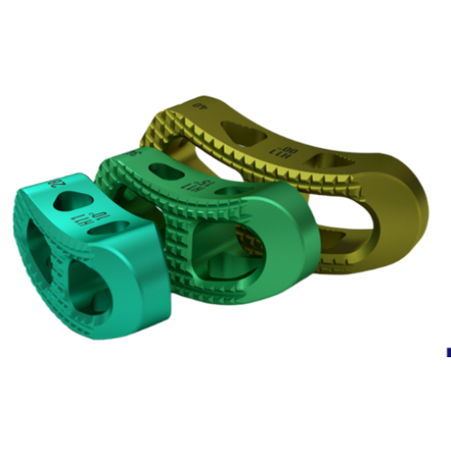 TLIF CAGE (PEEK&TITANIUM) 